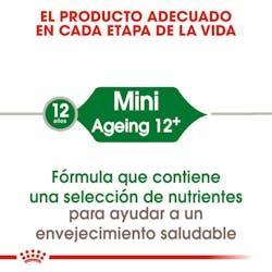 Royal Canin - Perros Mini Ageing +12