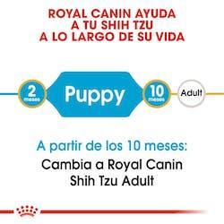 Royal Canin - Perros Cachorros Shih Tzu