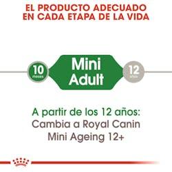 Royal Canin - Perros Adultos Mini Paté