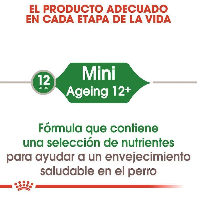 Royal Canin - Perros Senior Mini +12 Paté