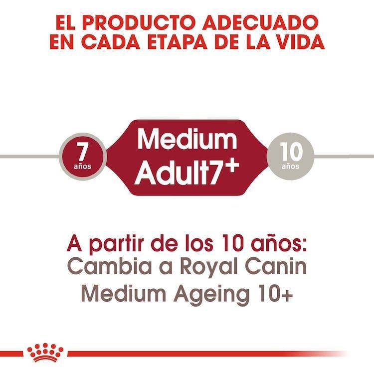 Royal Canin - Perros Adultos Medianos 7+