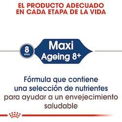 Royal Canin - Perros Maxi Ageing +8 sachet