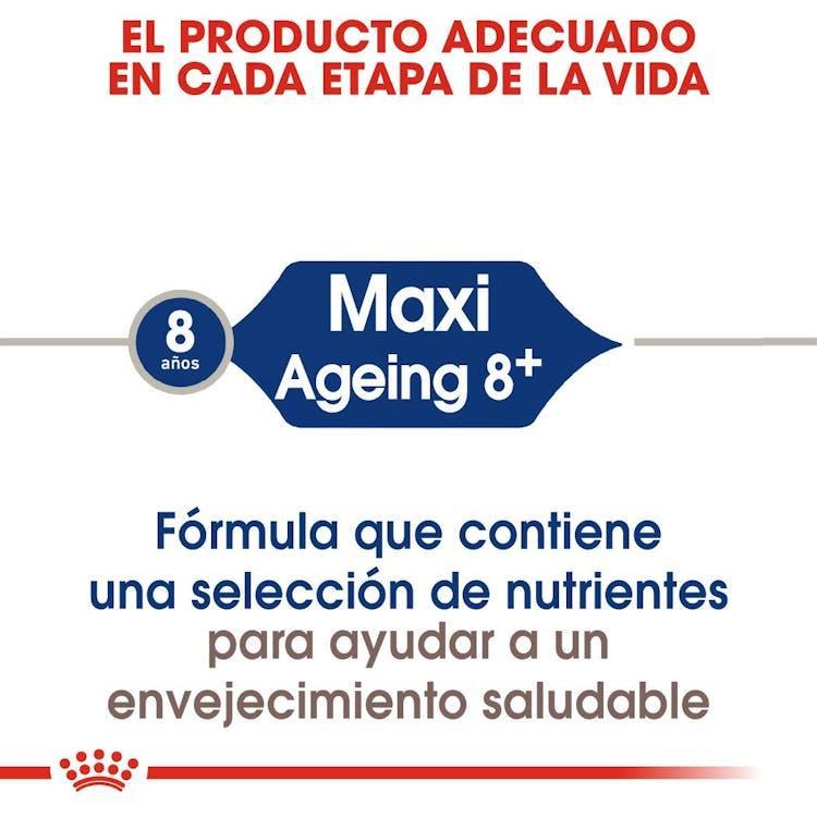 Royal Canin - Perros Adultos Maxi Ageing +8