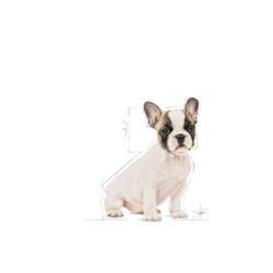 Royal Canin Puppy - Perros Cachorros French Bulldog | 4Pets