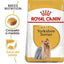 Royal Canin - Perros Adultos Yorkshire