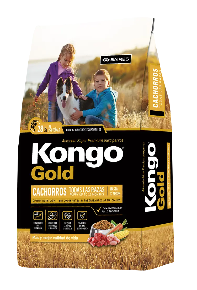 Kongo - Perros Cachorros Gold