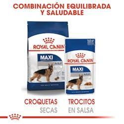 Royal Canin - Perros Adultos Maxi Sachet