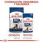 Royal Canin - Perros Maxi Ageing +8 sachet