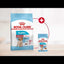 Royal Canin - Perros Medium Starter M&B