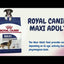 Royal Canin - Perros Adultos Maxi Sachet