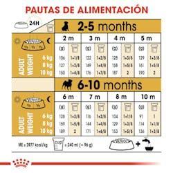 Royal Canin - Perros Cachorros Pug