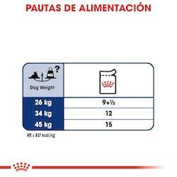 Royal Canin - Perros Maxi Ageing +8 sachet