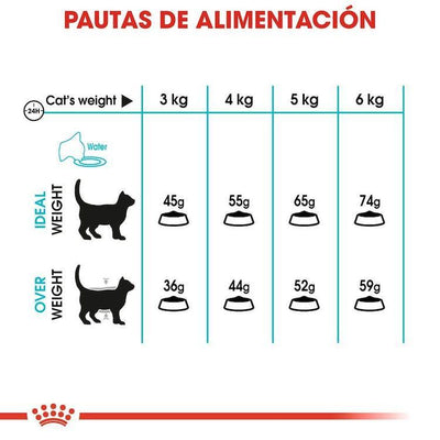 Royal Canin - Gatos Adultos Urinary Care