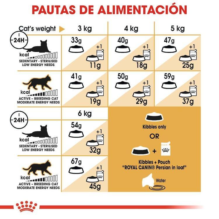 Royal Canin - Gatos Adultos Persa