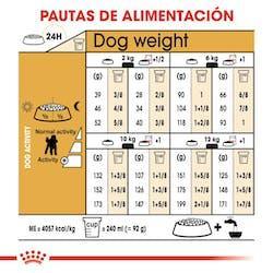 Royal Canin - Perros Adultos Mini Poodle