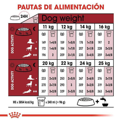 Royal Canin - Perros Adultos Medianos 7+