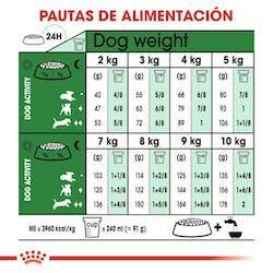 Royal Canin - Perro Adultos Mini