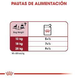 Royal Canin - Perros Adultos Medium Paté