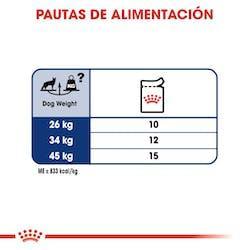 Royal Canin - Perros Adultos Maxi Sachet