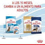 Royal Canin - Perros Cachorros Maxi Pate