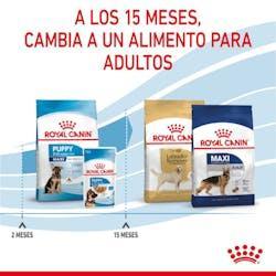 Royal Canin - Perros Cachorros Maxi Pate