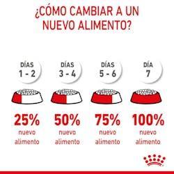 Royal Canin - Perros Cachorros Maxi Pate