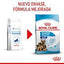 Royal Canin - Perros Cachorros & Maxi Starter M&B