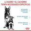 Royal Canin - Perros Cachorros & Maxi Starter M&B