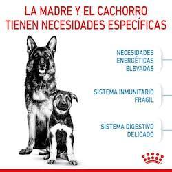 Royal Canin - Perros Cachorros & Maxi Starter M&B