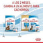 Royal Canin - Perros Cachorros & Maxi Starter M&B