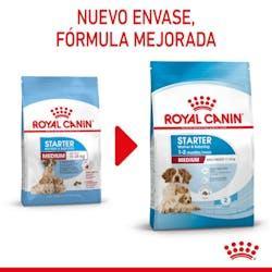 Royal Canin - Perros Medium Starter M&B