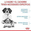 Royal Canin - Perros Medium Starter M&B