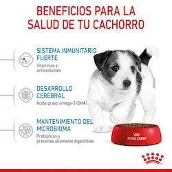 Royal Canin - Perros Cachorros Mini Paté