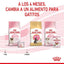 Royal Canin - Gatitos Mother & Baby Lata