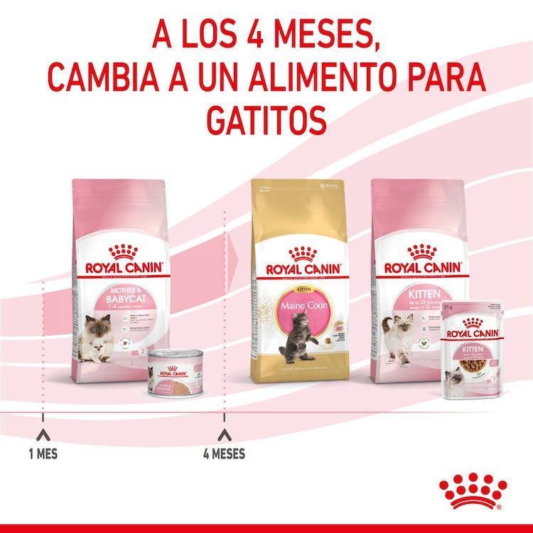 Royal Canin - Gatitos Mother & Baby Lata