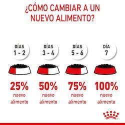 Royal Canin - Perros Cachorros Medium Paté