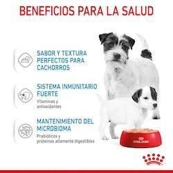 Royal Canin - Perros Cachorros Starter Pate