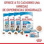 Royal Canin - Perros Cachorros Starter Pate