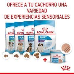 Royal Canin - Perros Cachorros Starter Pate