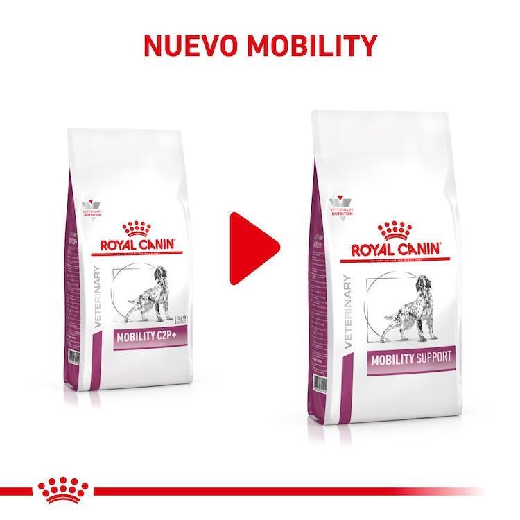 Royal Canin - Perros Adultos Mobility Support