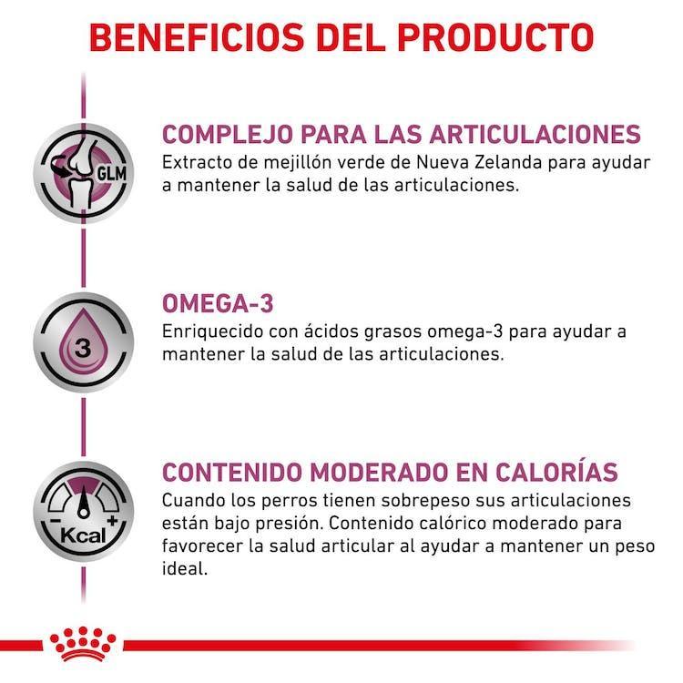 Royal Canin - Perros Adultos Mobility Support