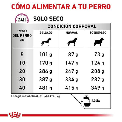 Royal Canin - Perros Adultos Soporte a Mobilidad