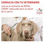 Royal Canin - Perros Adultos & Cuidado Hepático Lata