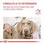 Royal Canin - Recovery Lata