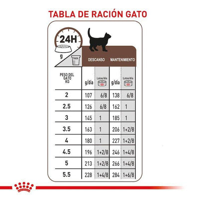 Royal Canin - Recovery Lata