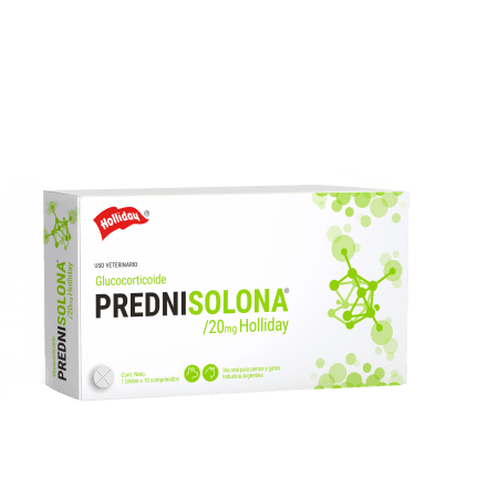 Holliday - Antiinflamatorio Prednisolona