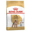 Royal Canin - Perros Adultos Mini Poodle