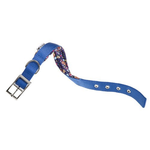 Collar Daytona Fantasy C Azul